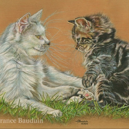 Smile
Daler-Rowney Pastel Paper
12" x 16.5"
Laila and Griffin (2nd litter) Smile
Daler-Rowney Pastel Paper
12" x 16.5"
Laila and Griffin (2nd litter)